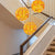 Ceiling In Blooms Blown Glass Plates Chandelier Yellow And Orange