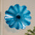 Blown Murano Glass Wall Plates Azure Blue D12inches