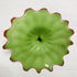 Hand Blown Murano Glass Wall Plates Green With Red Rim D12Inches