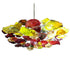 Colorful Blooms Fall Hand Blown Glass Chandelier Lotus Plates