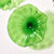 Hand Blown Glass Wall Plate Wall Art Wall Flower Home Decor Custom Made Clear Green Set LRP007